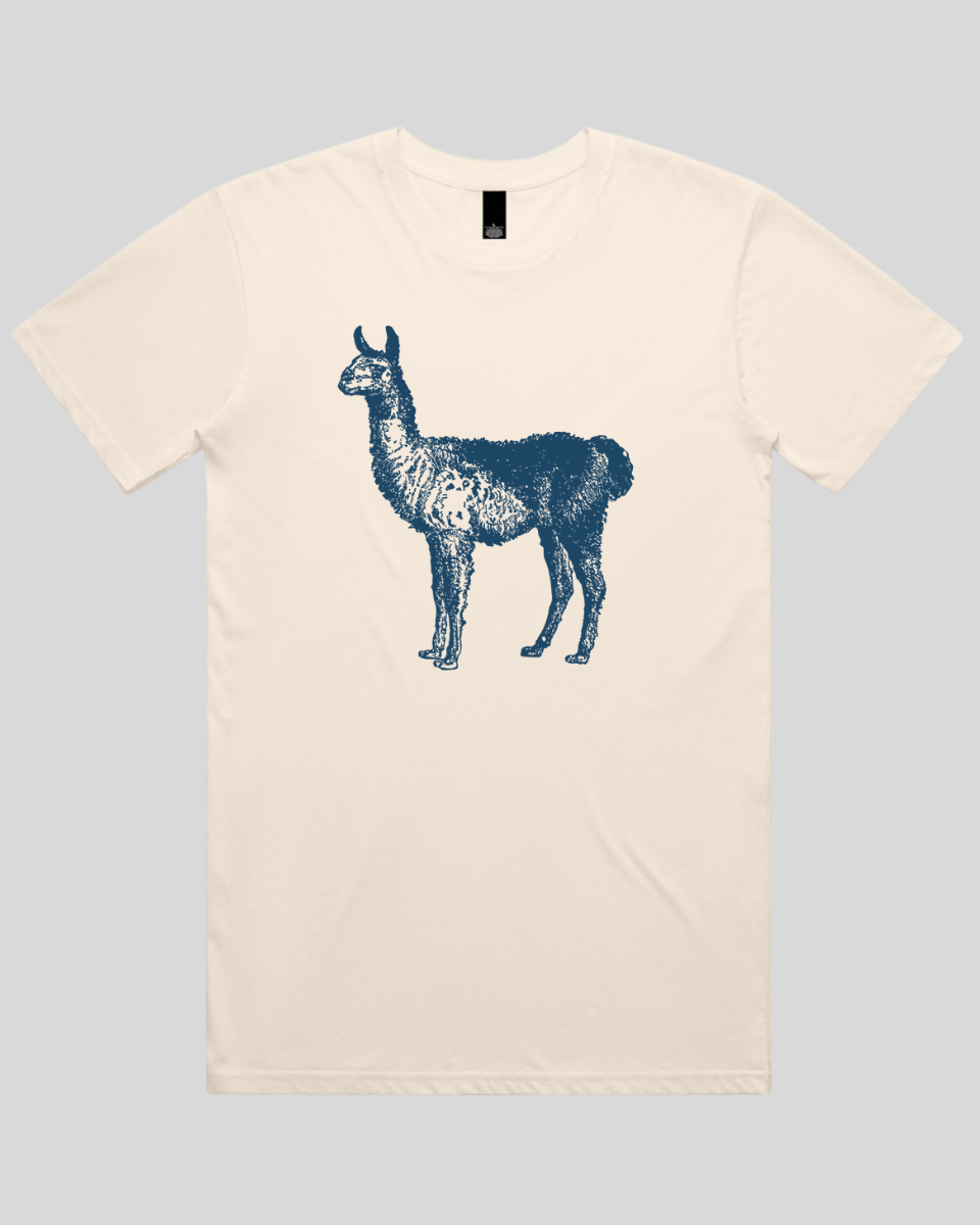 Llama Men's T-Shirt