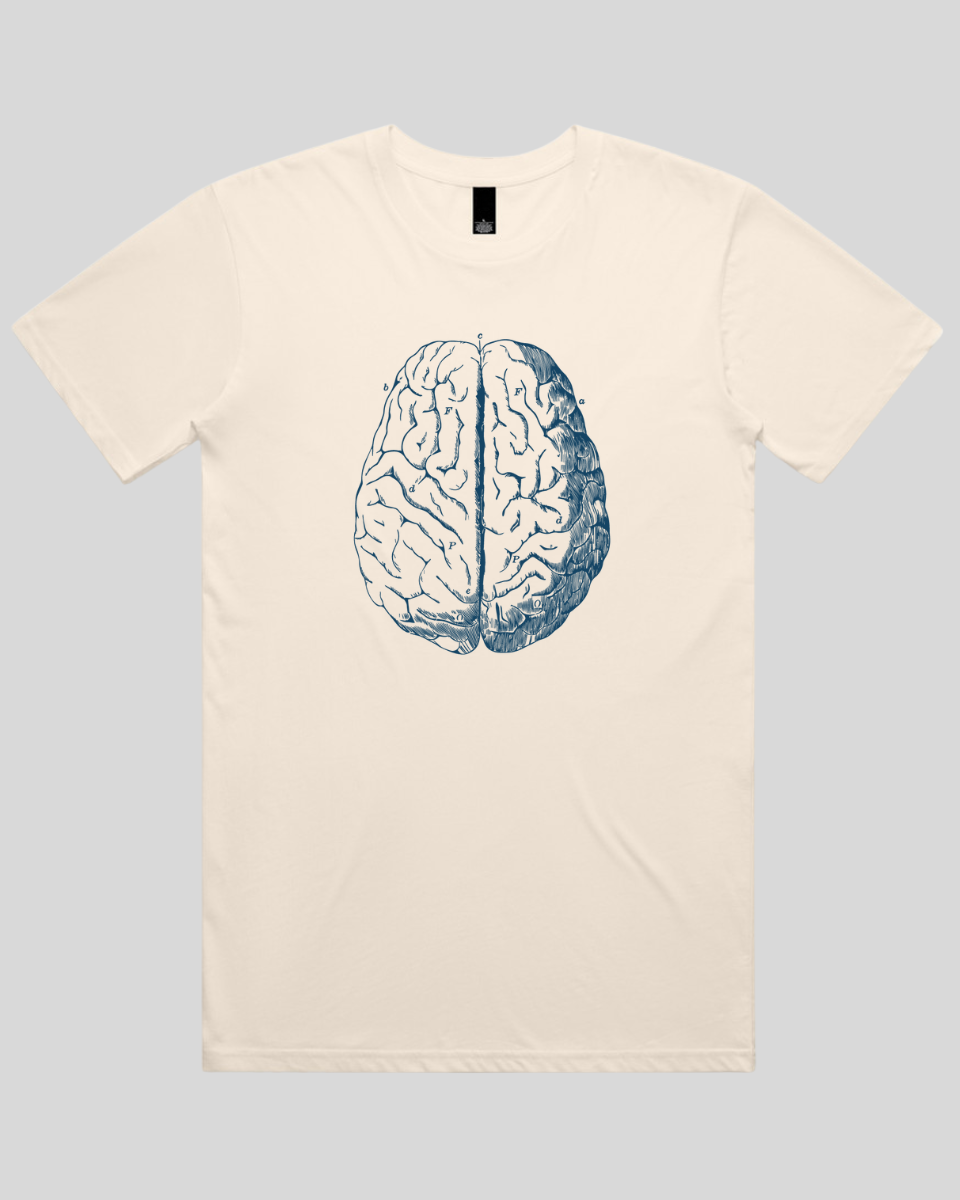 Vintage Brain Diagram Men's T-Shirt