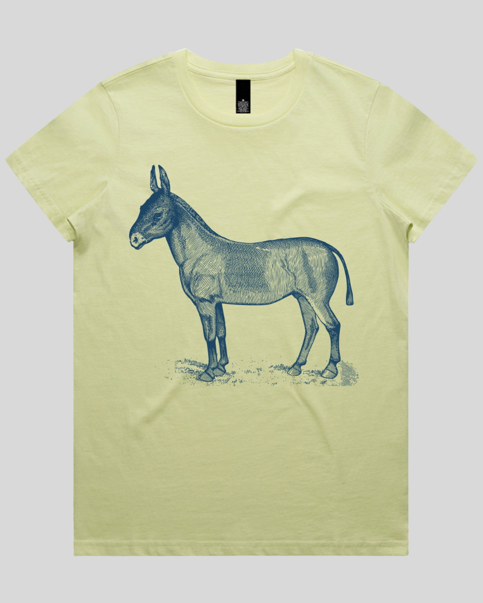 Donkey Drawing Women's T-Shirt