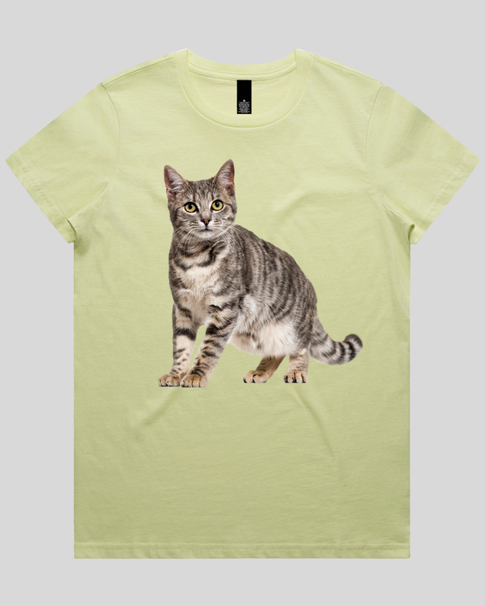 Friendly Cat Women's T-Shirt