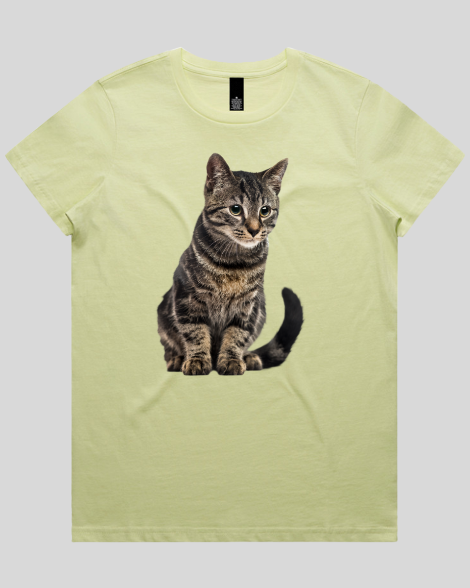 Focused Cat Women's T-Shirt