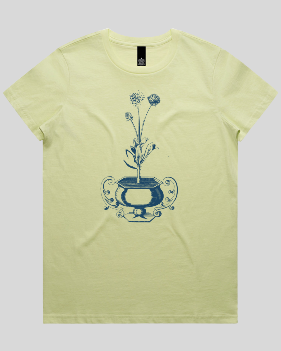 Floral Vase Art Women's T-Shirt