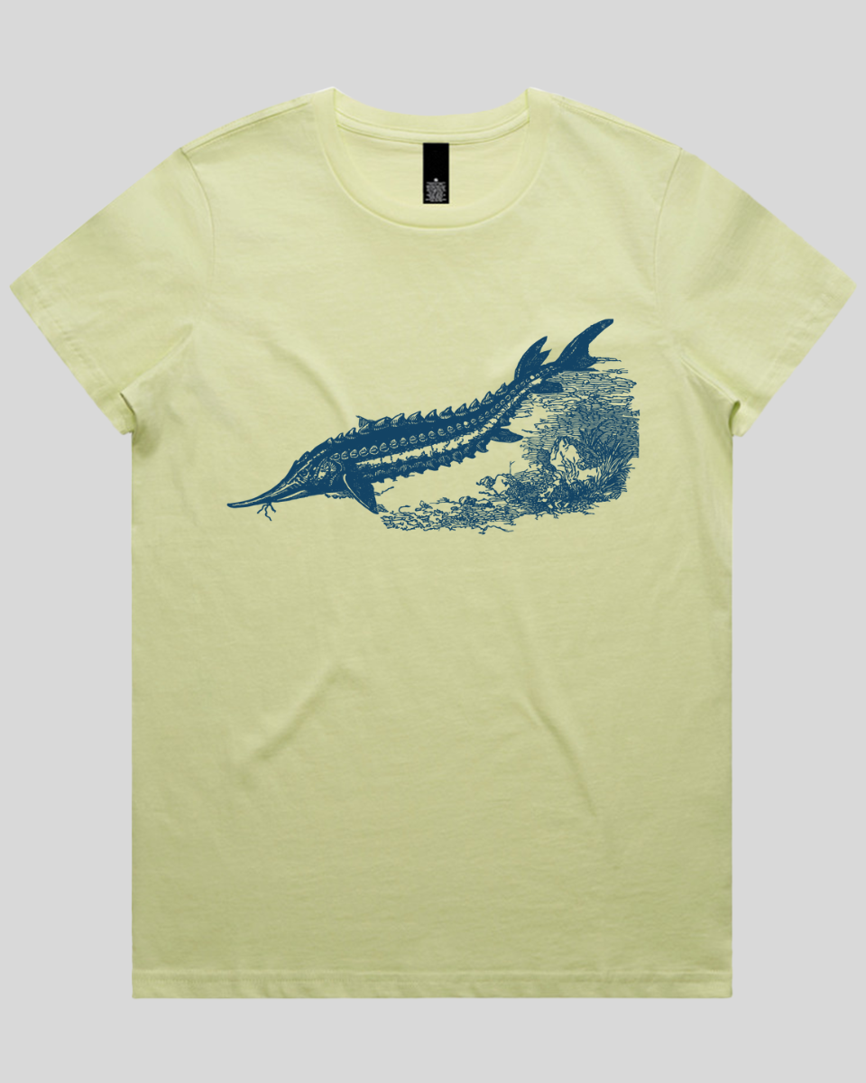 Ancient River Fish 2 Women's T-Shirt