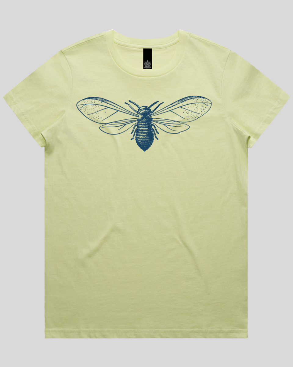 Detailed Moth Illustration Women's T-Shirt