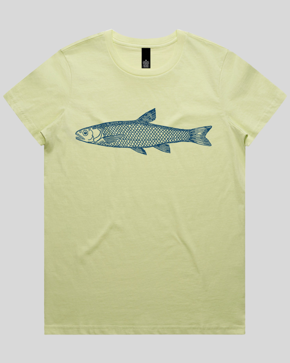 Silent Fin Women's T-Shirt