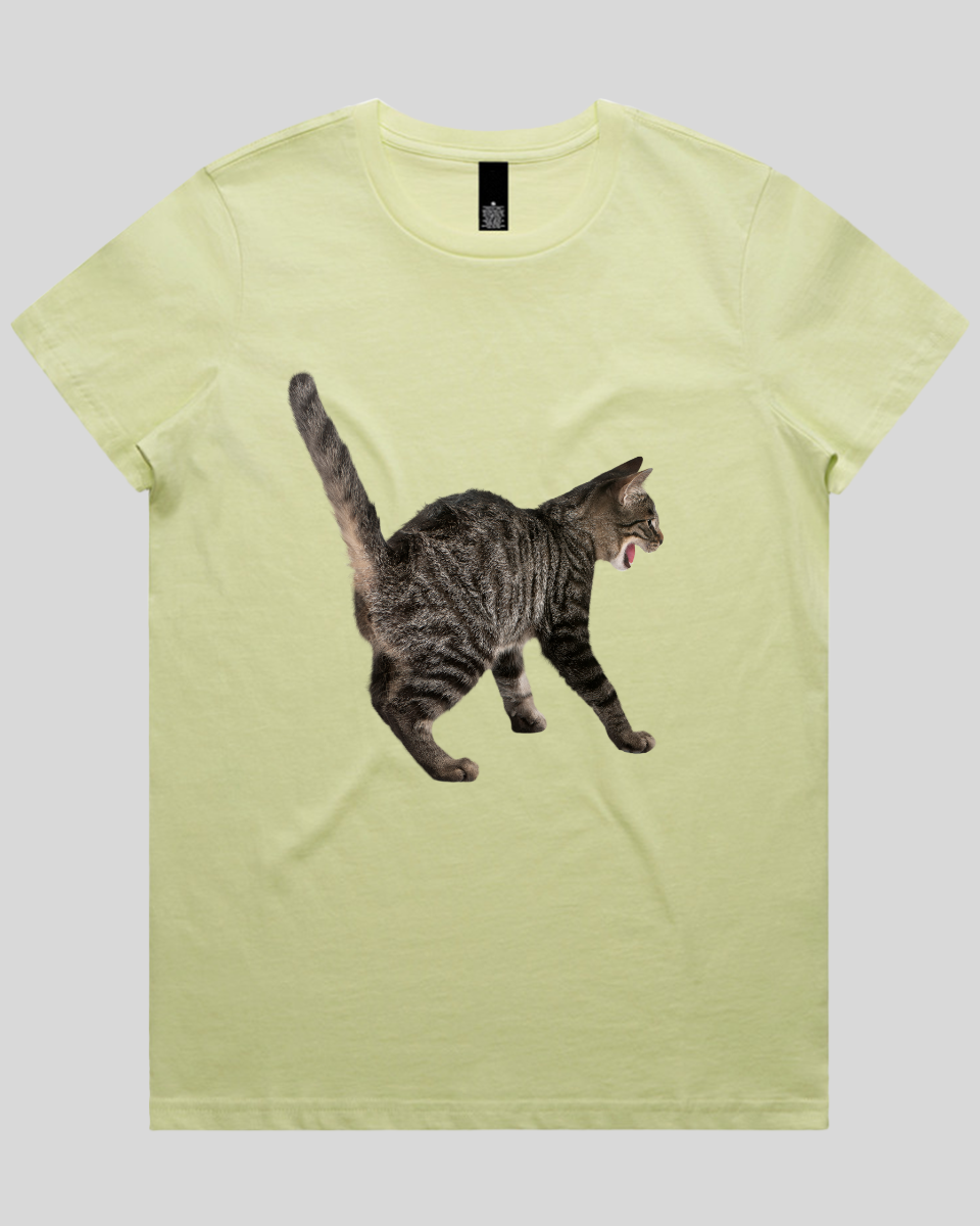 Scared Cat Women's T-Shirt