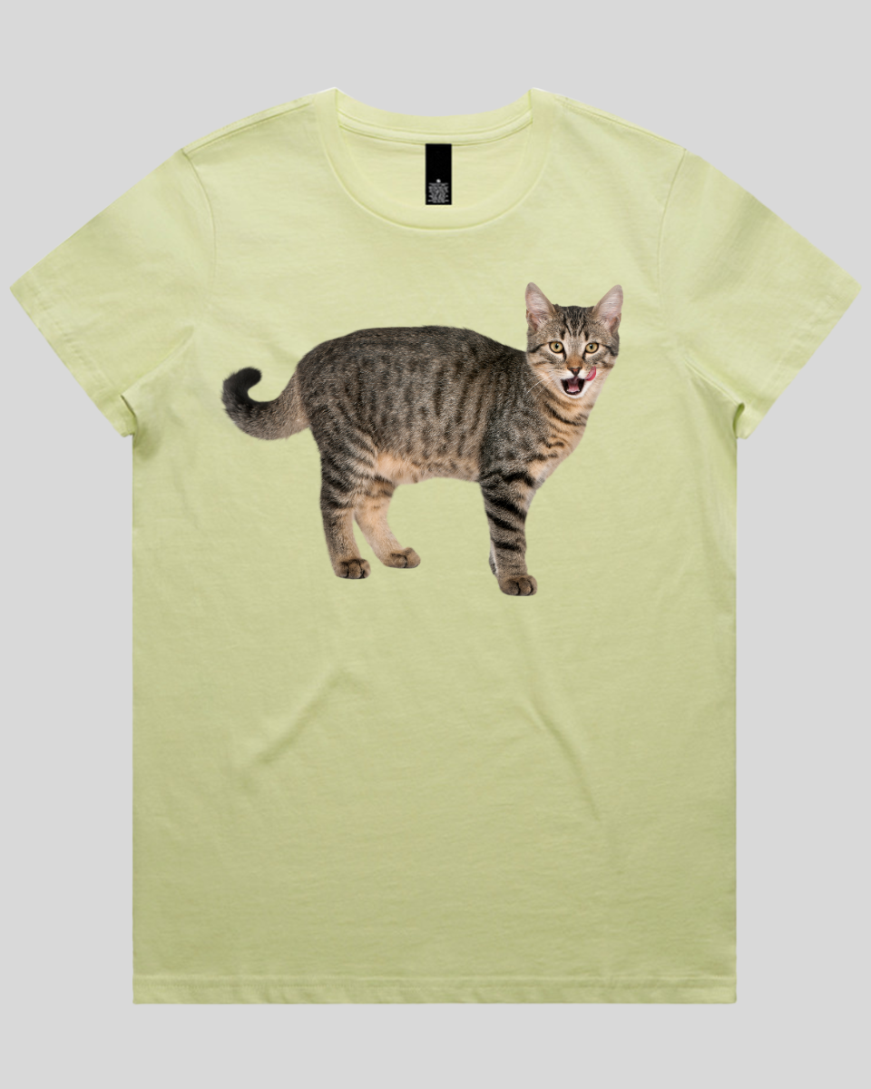 Hungry cat Women's T-Shirt