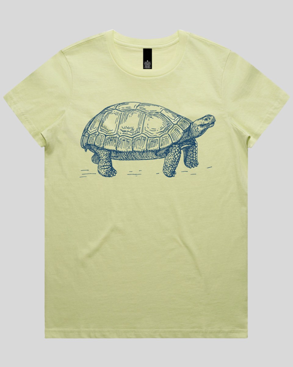 Turtle Step Women's T-Shirt