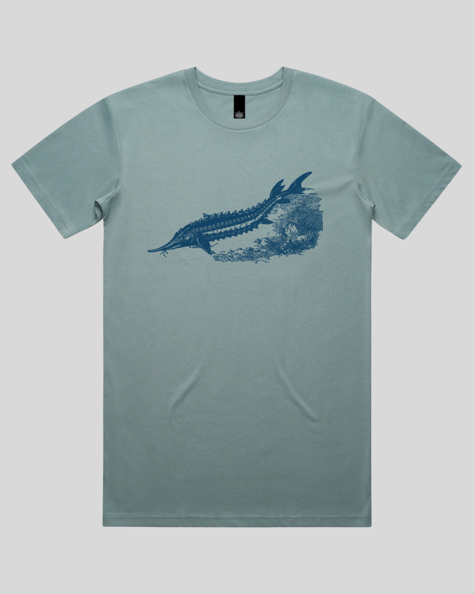Ancient River Fish 2 Men's T-Shirt