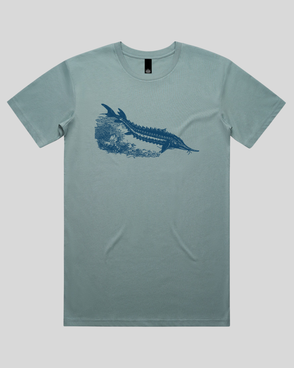 Ancient River Fish Men's T-Shirt