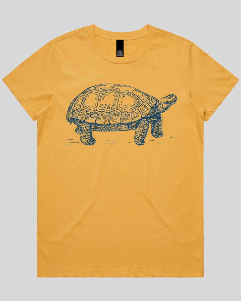 Turtle Step Women's T-Shirt