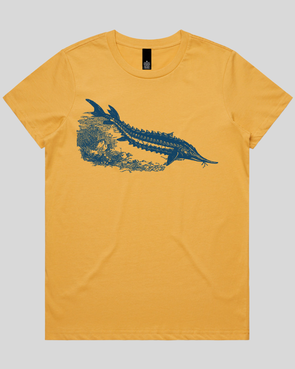 Ancient River Fish Women's T-Shirt