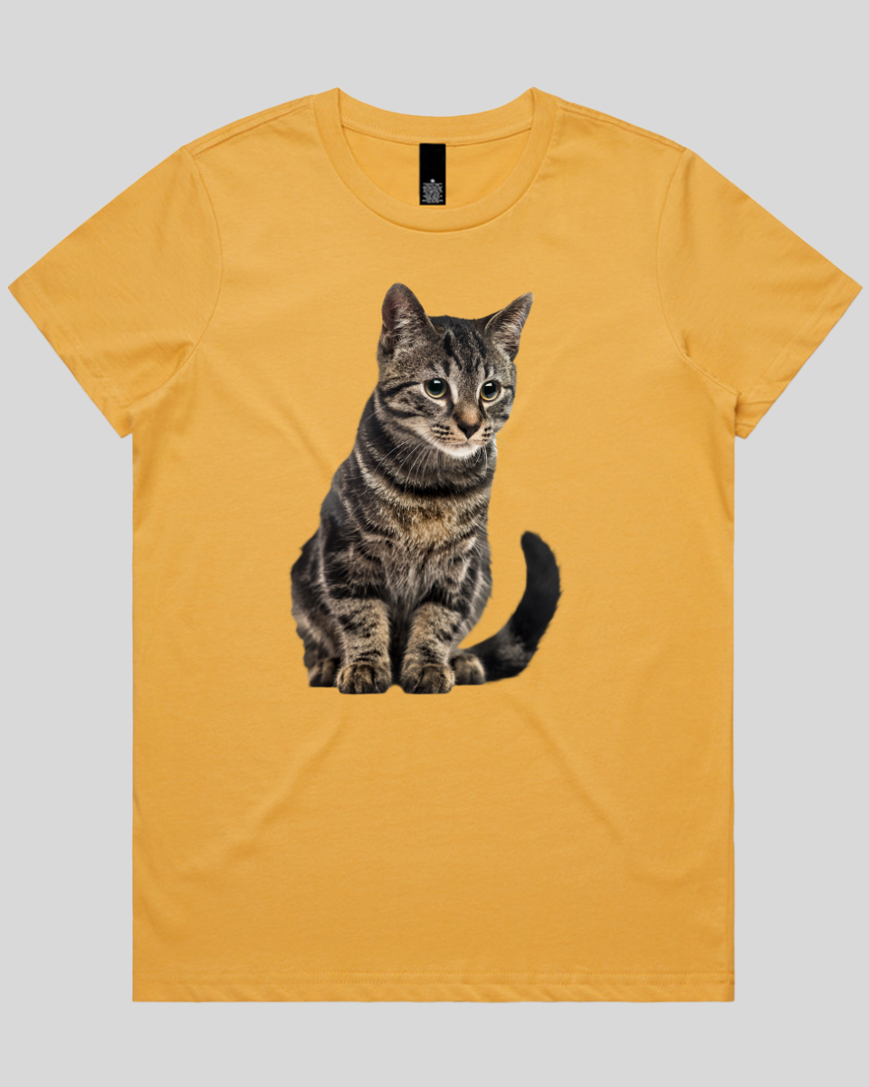 Focused Cat Women's T-Shirt