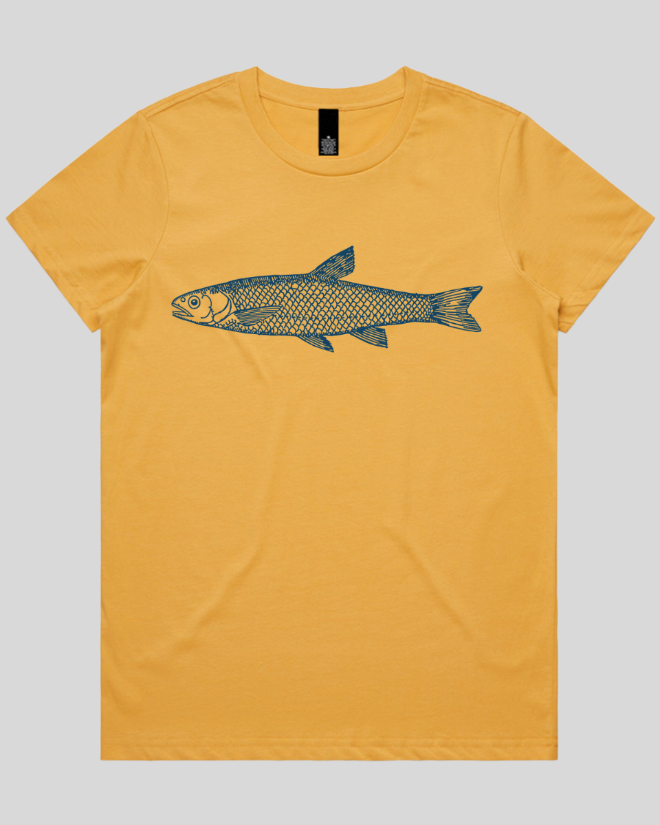 Silent Fin Women's T-Shirt