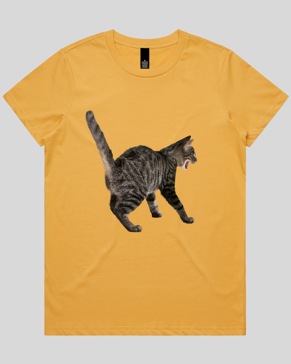 Scared Cat Women's T-Shirt