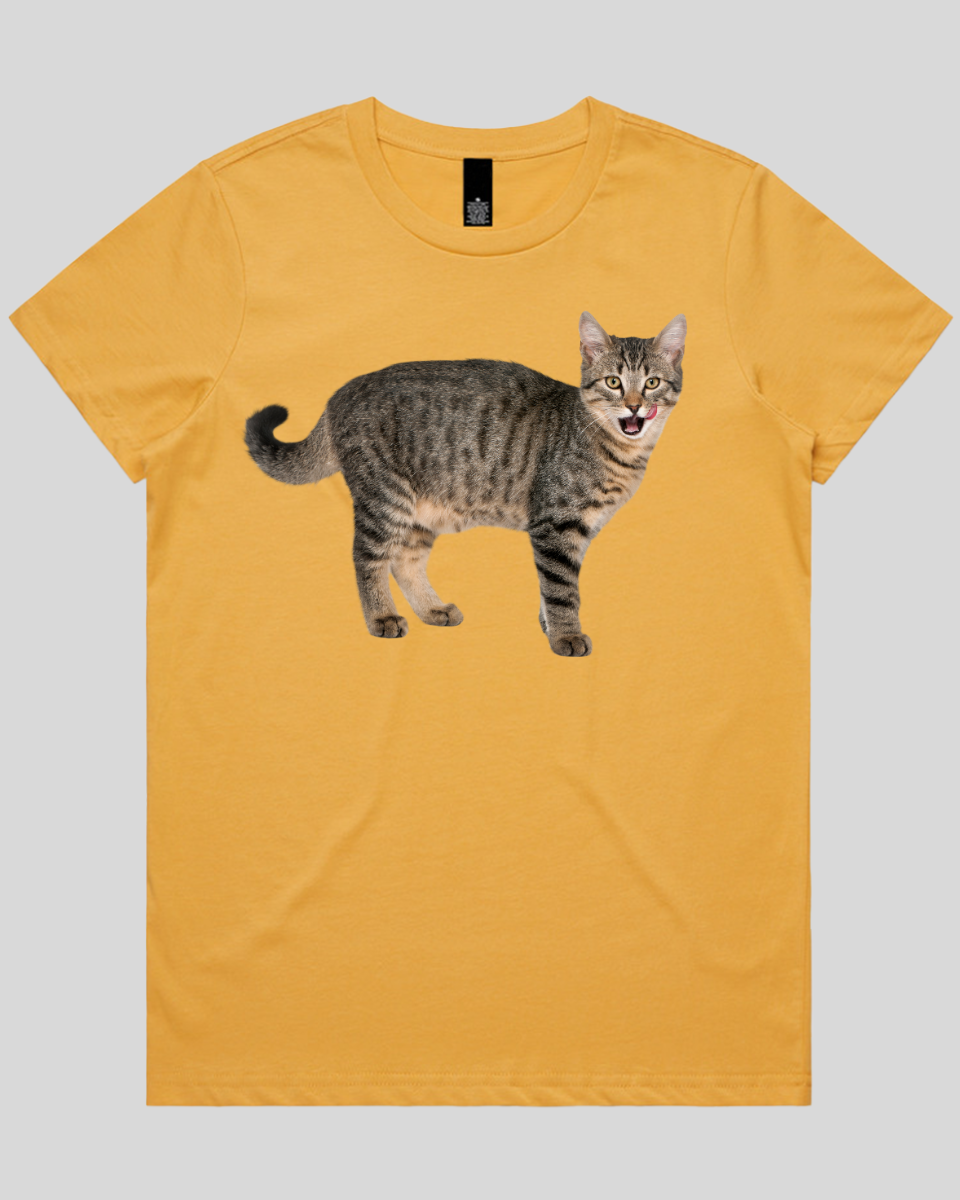 Hungry cat Women's T-Shirt