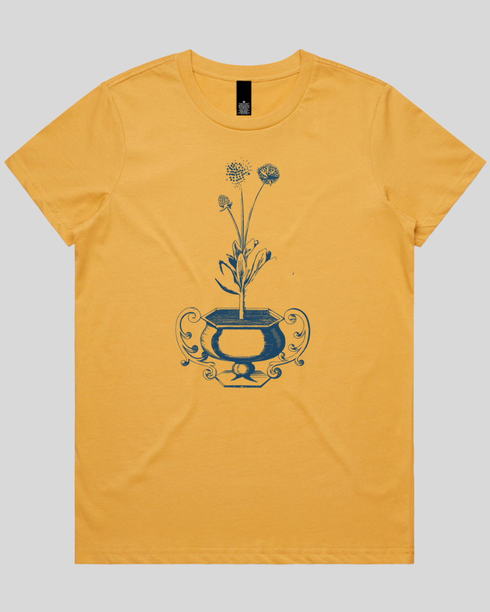 Floral Vase Art Women's T-Shirt