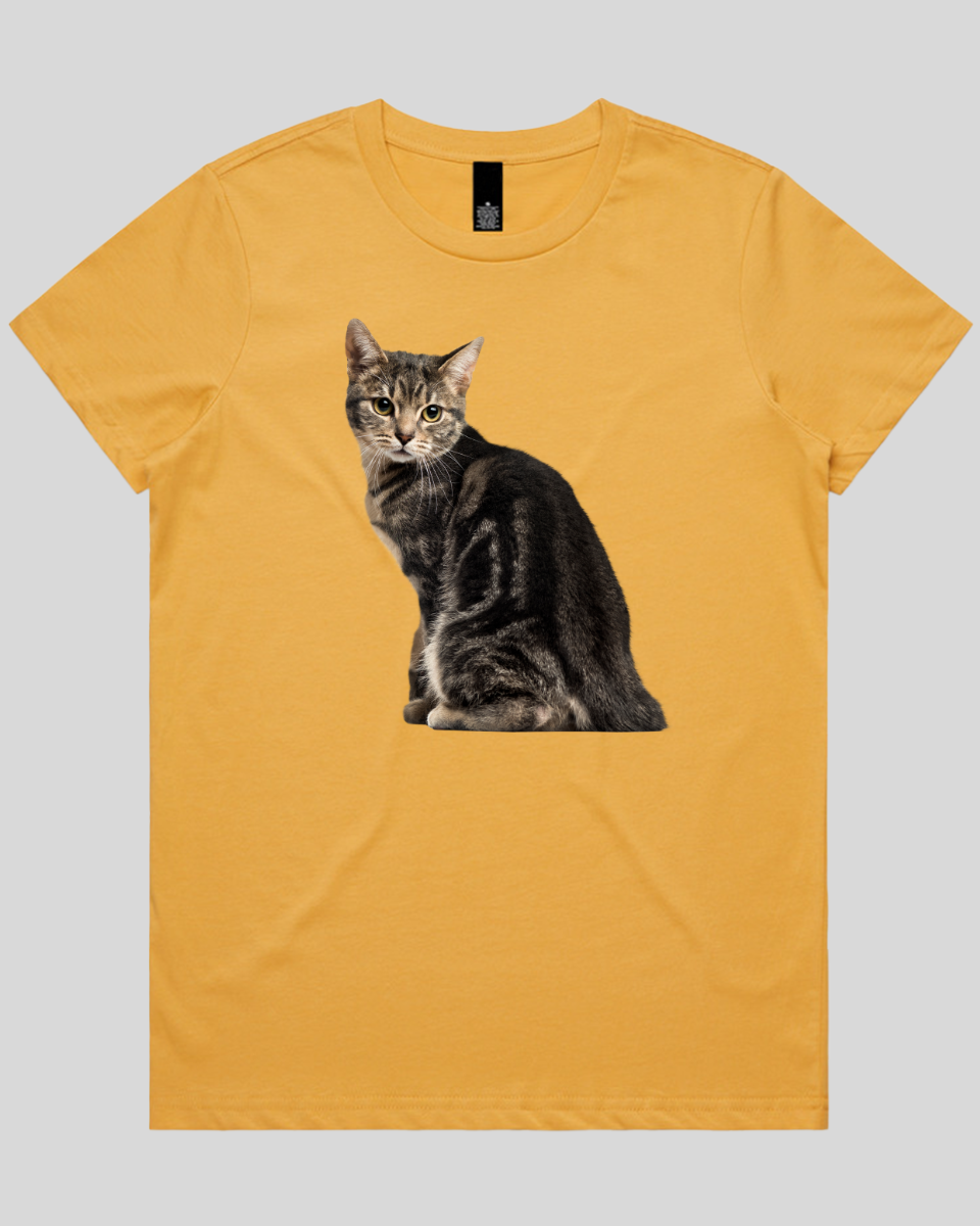 Cautious Cat Women's T-Shirt