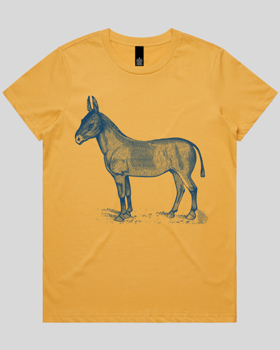 Donkey Drawing Women's T-Shirt