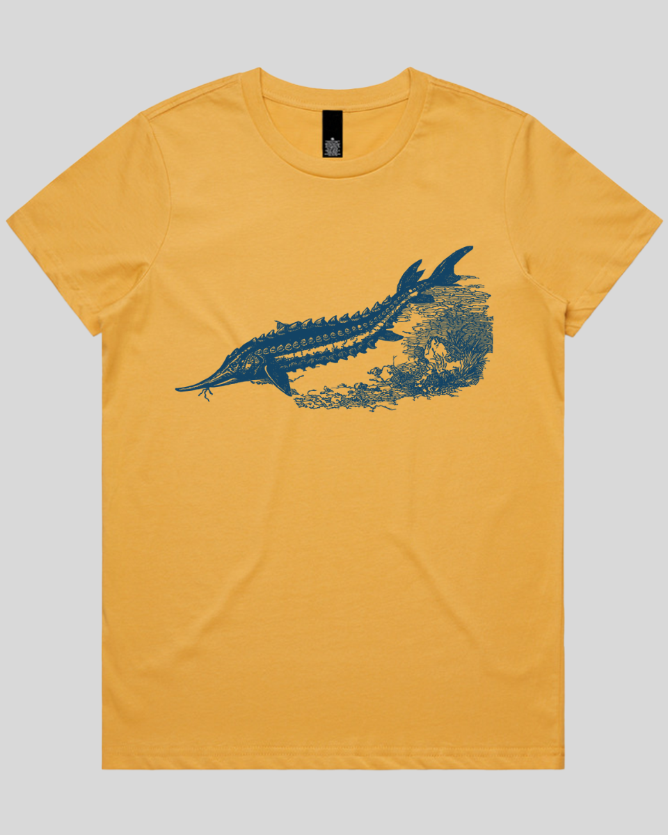 Ancient River Fish 2 Women's T-Shirt