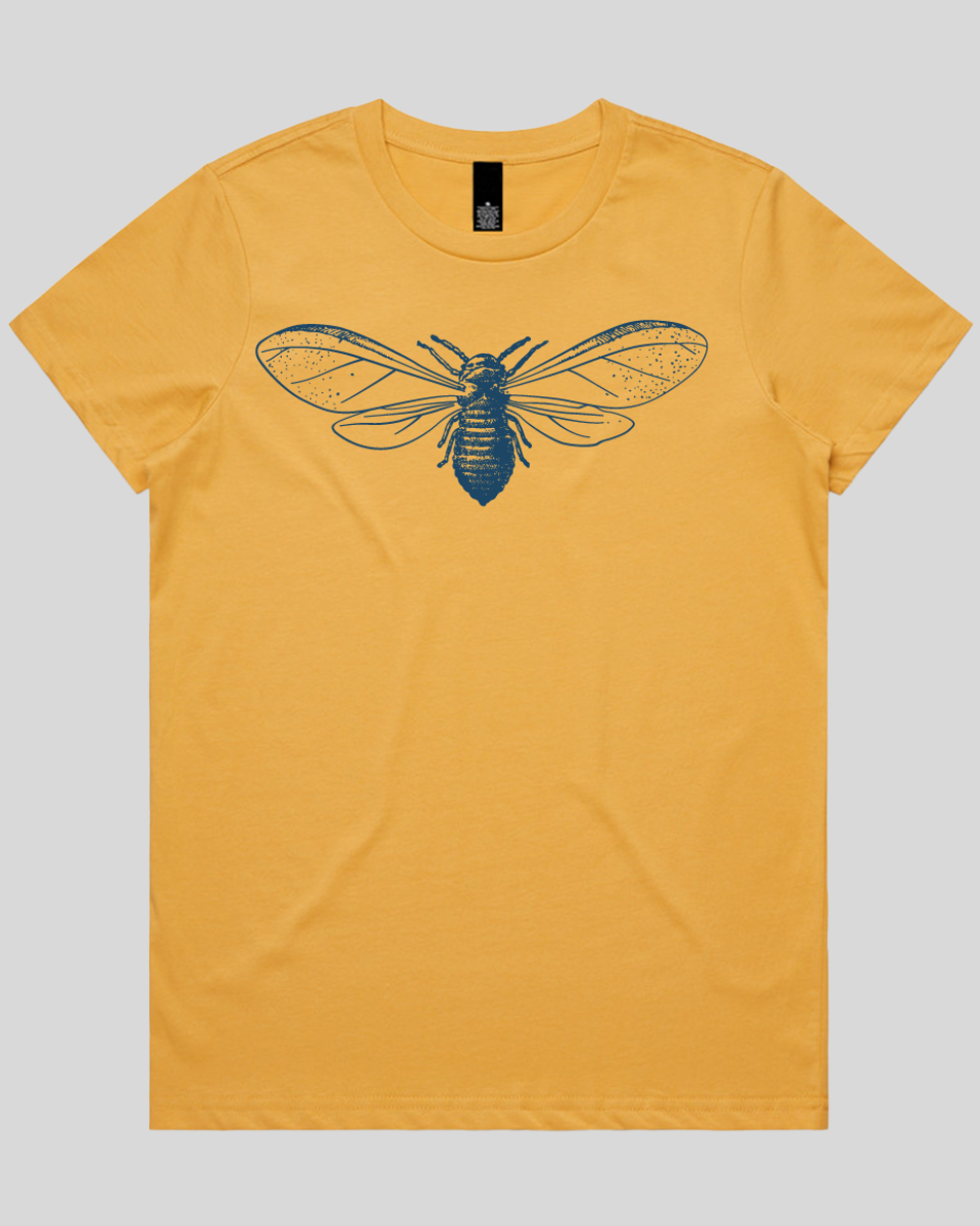 Detailed Moth Illustration Women's T-Shirt
