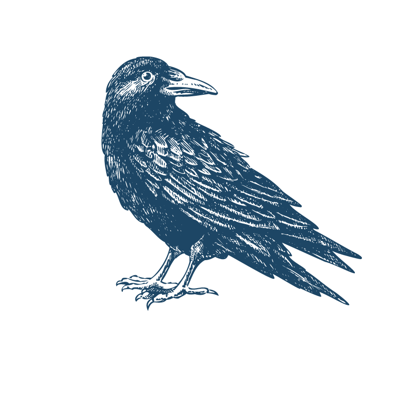 Mystic Raven Men's T-Shirt