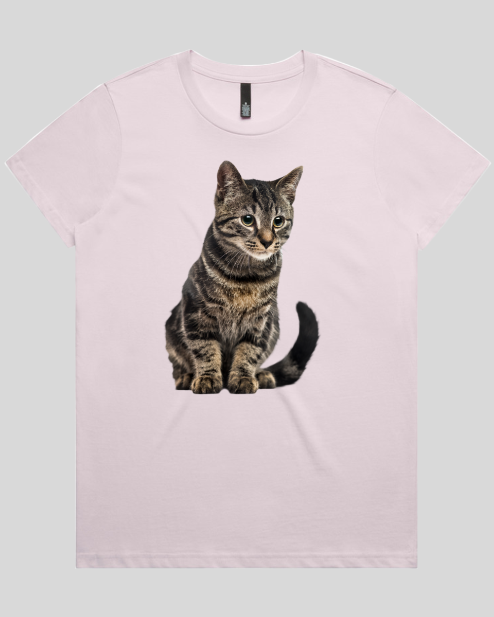 Focused Cat Women's T-Shirt