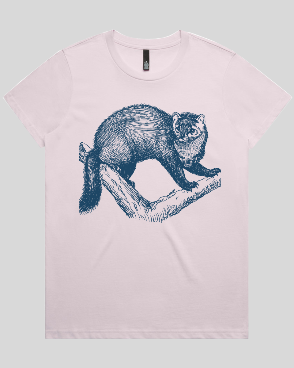 Wild Marten Women's T-Shirt