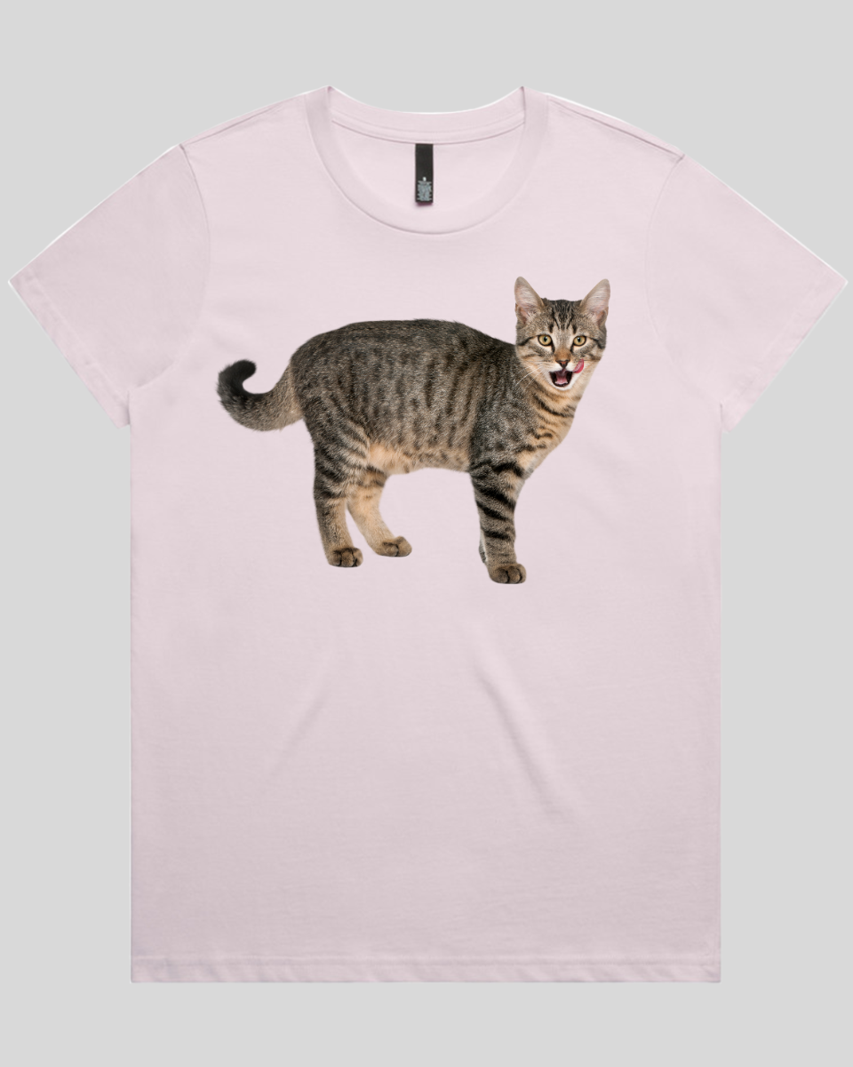 Hungry cat Women's T-Shirt