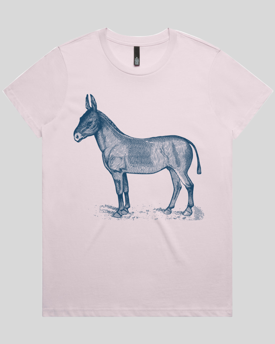 Donkey Drawing Women's T-Shirt