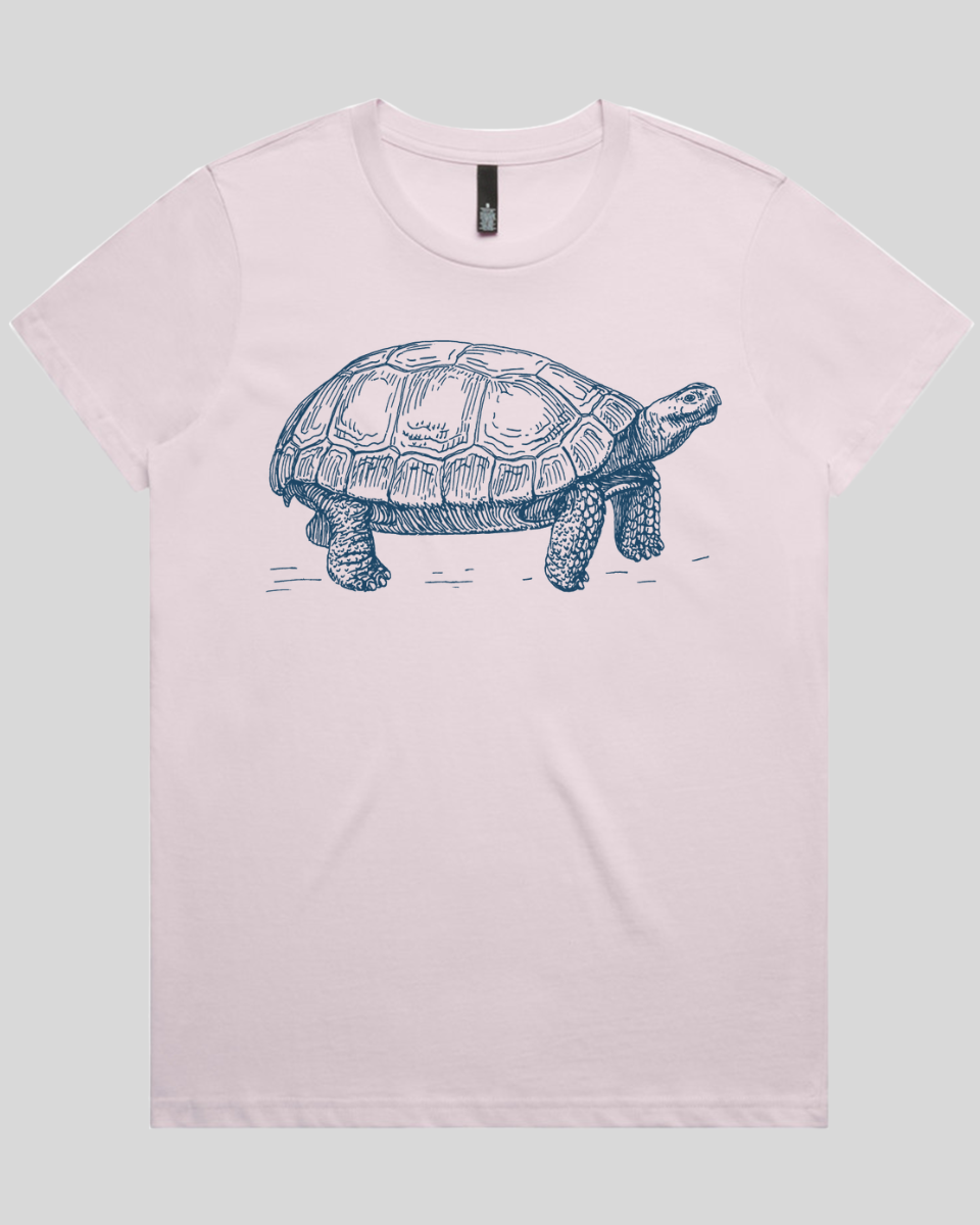 Turtle Step Women's T-Shirt