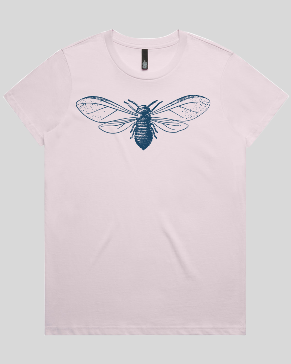 Detailed Moth Illustration Women's T-Shirt