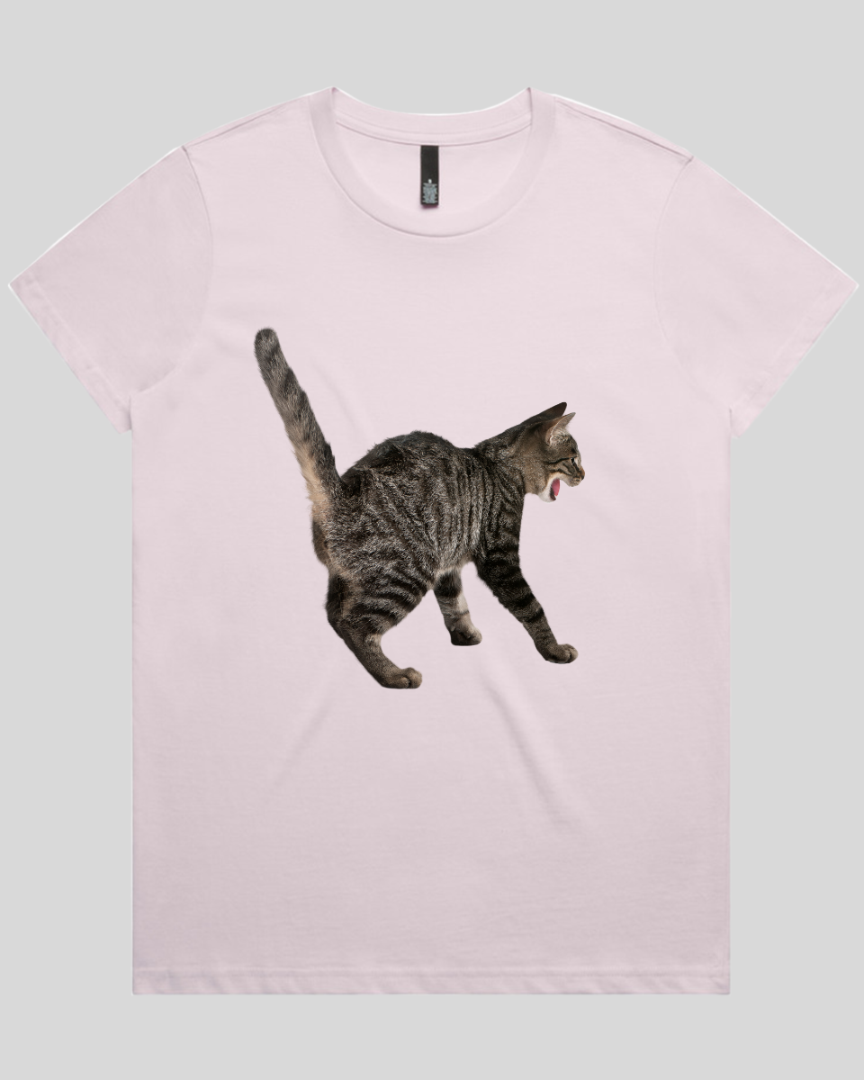 Scared Cat Women's T-Shirt