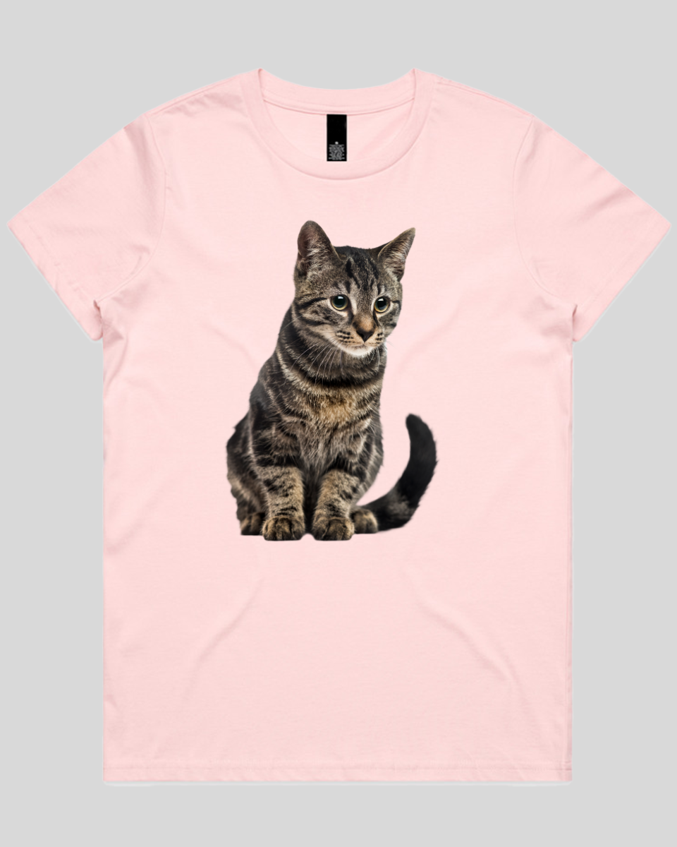 Focused Cat Women's T-Shirt
