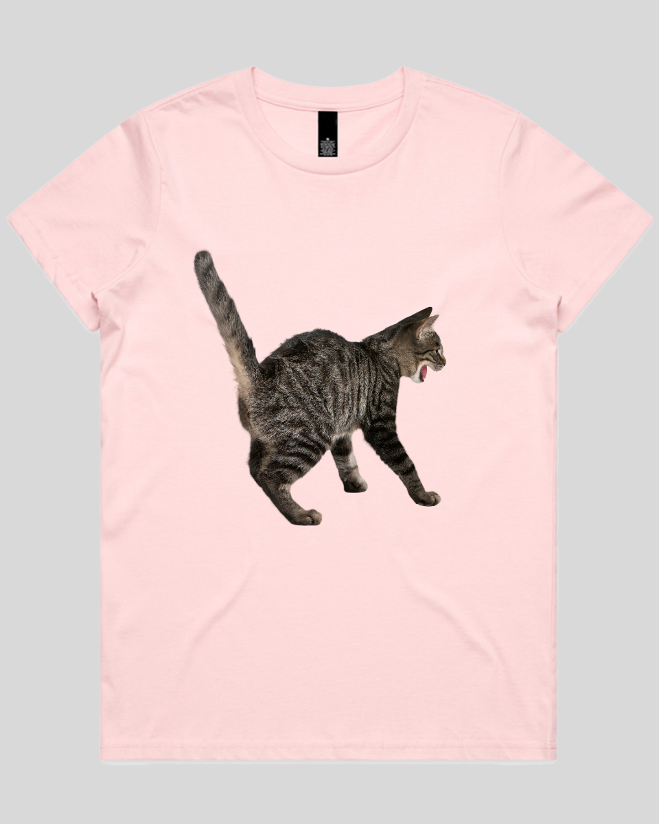 Scared Cat Women's T-Shirt
