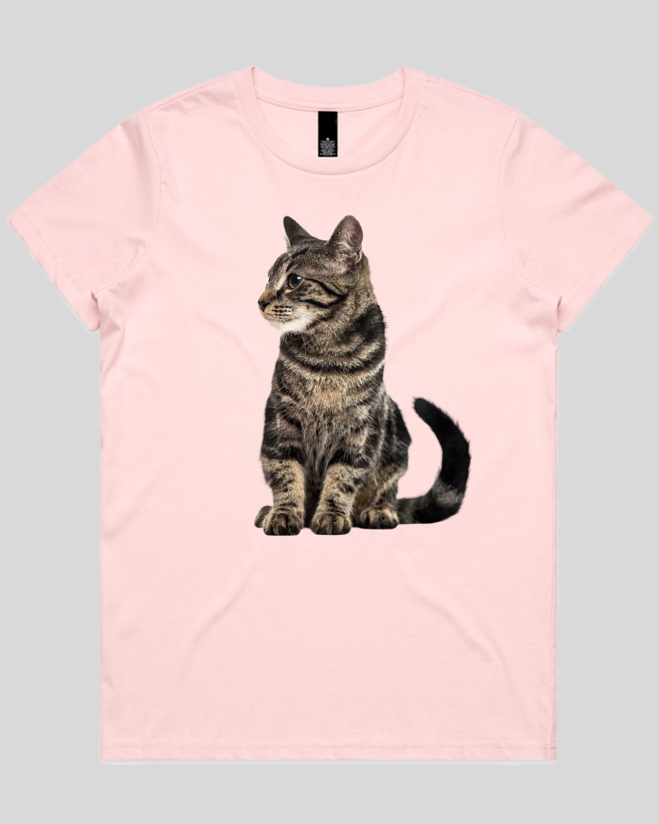 Alert Cat Women's T-Shirt