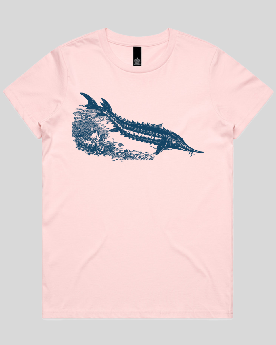 Ancient River Fish Women's T-Shirt