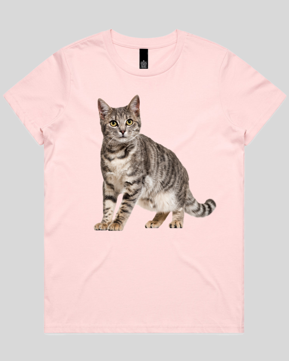Friendly Cat Women's T-Shirt
