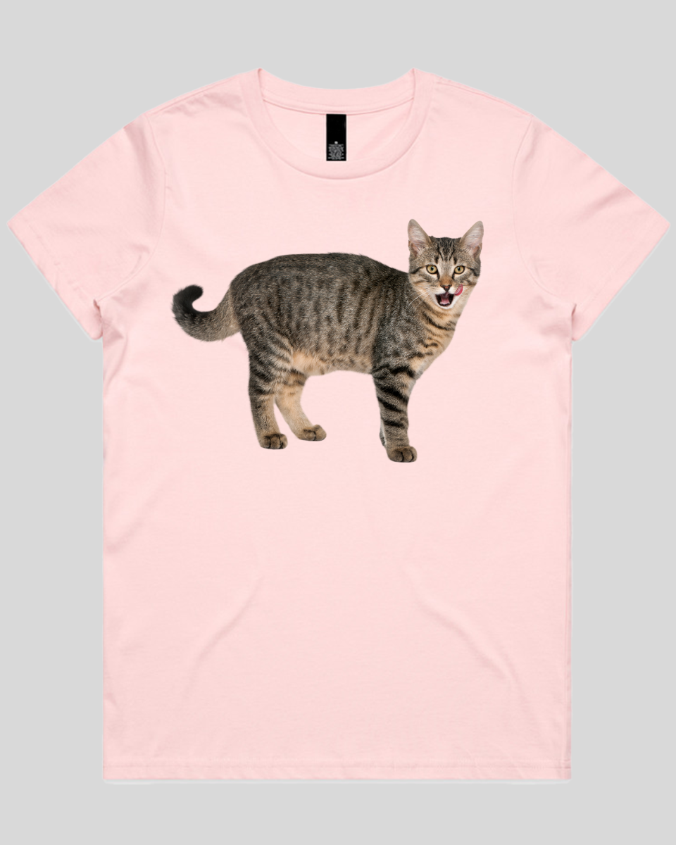 Hungry cat Women's T-Shirt