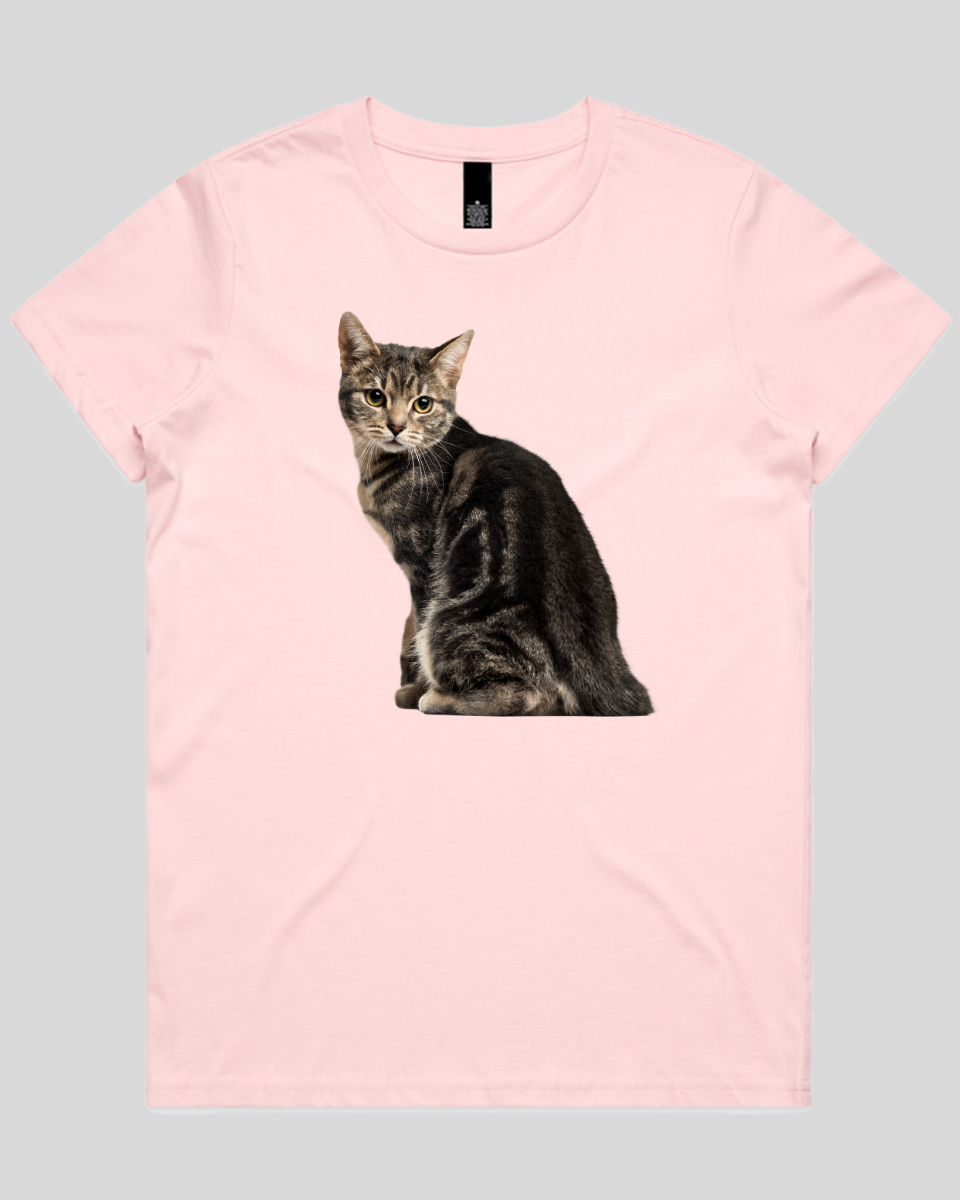 Cautious Cat Women's T-Shirt