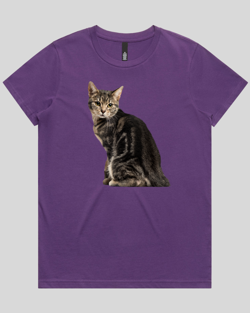 Cautious Cat Women's T-Shirt