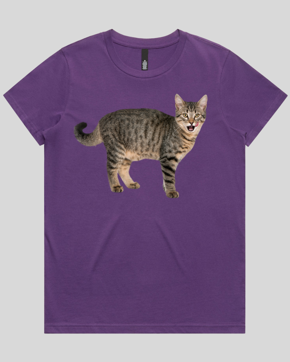 Hungry cat Women's T-Shirt