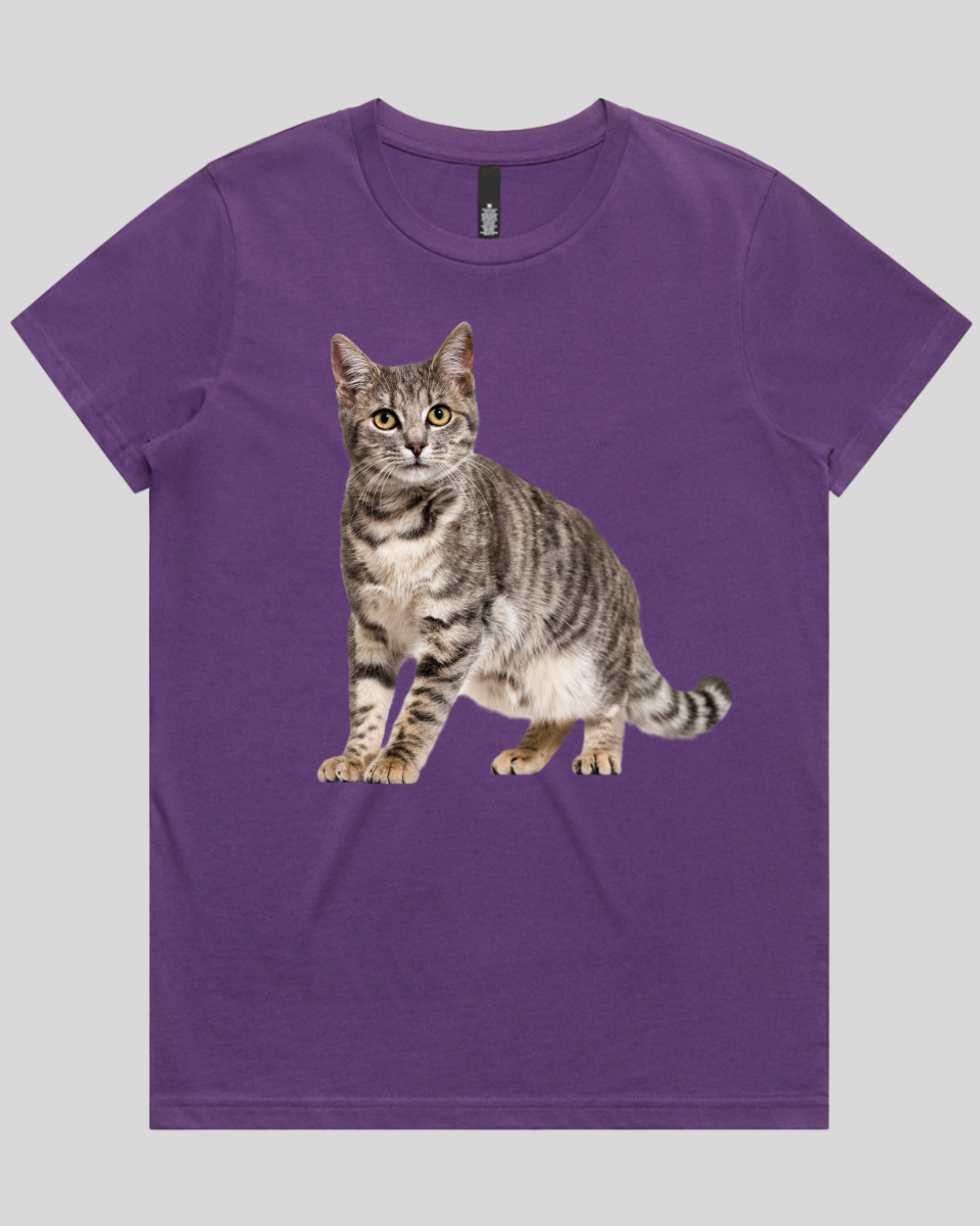 Friendly Cat Women's T-Shirt