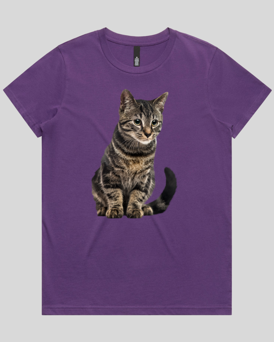 Focused Cat Women's T-Shirt