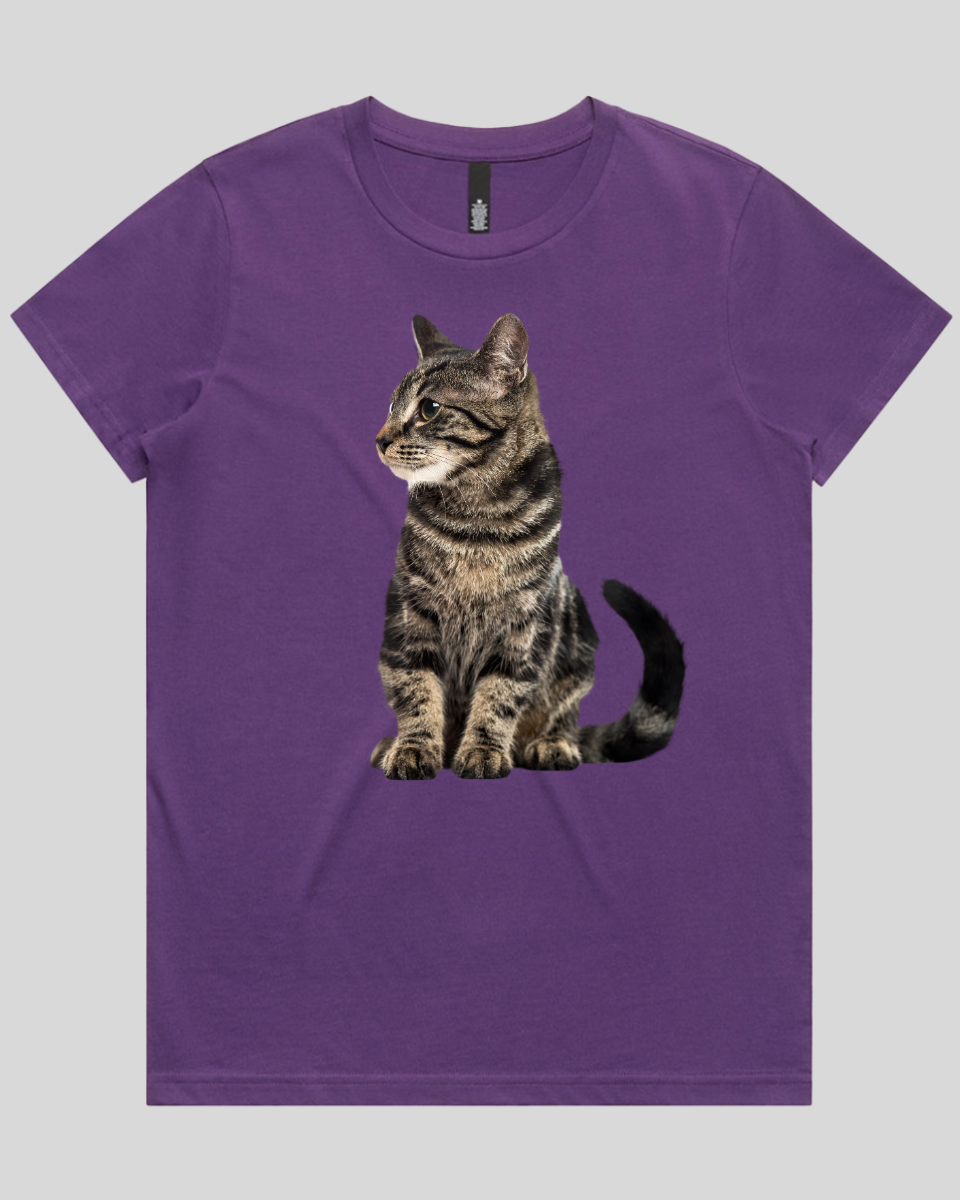 Alert Cat Women's T-Shirt