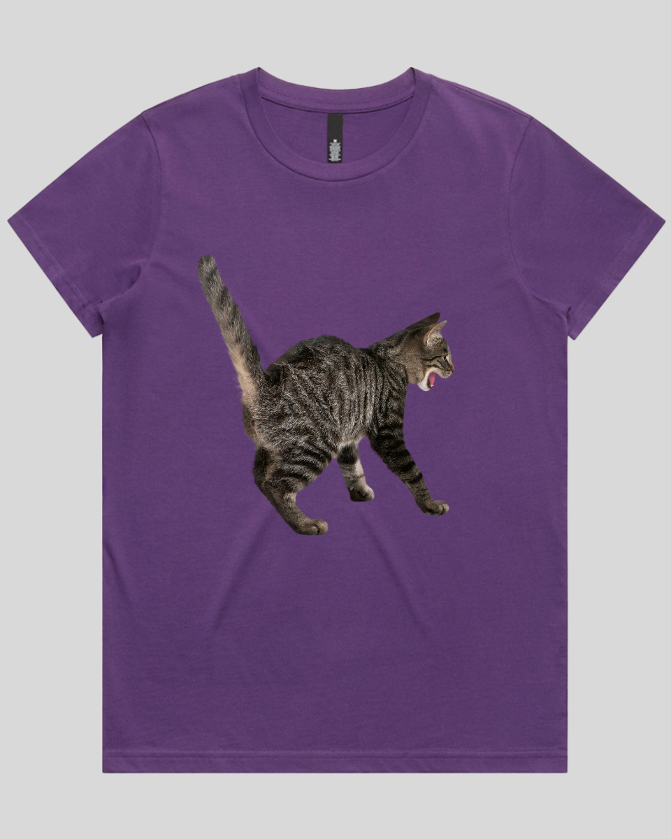 Scared Cat Women's T-Shirt