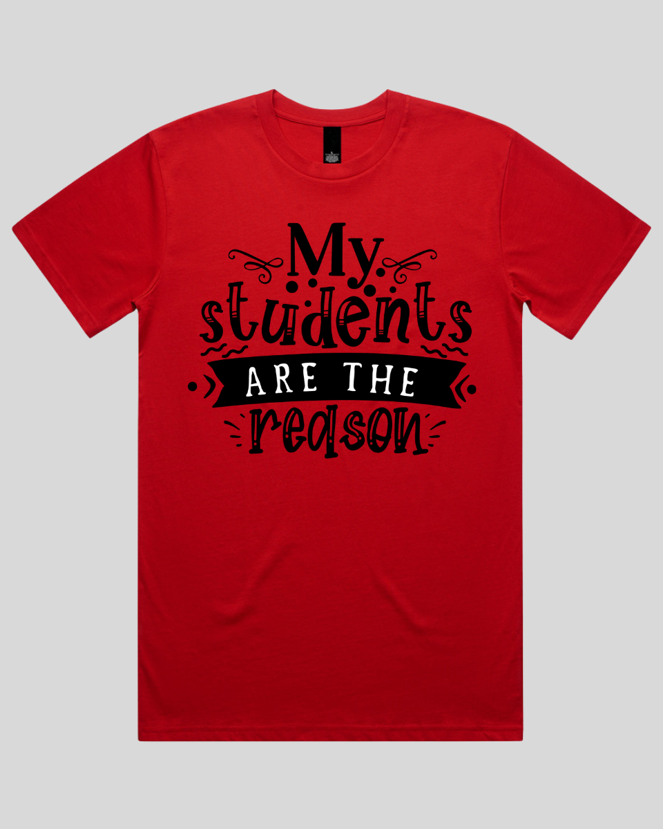 My students are the reason Men's T-Shirt