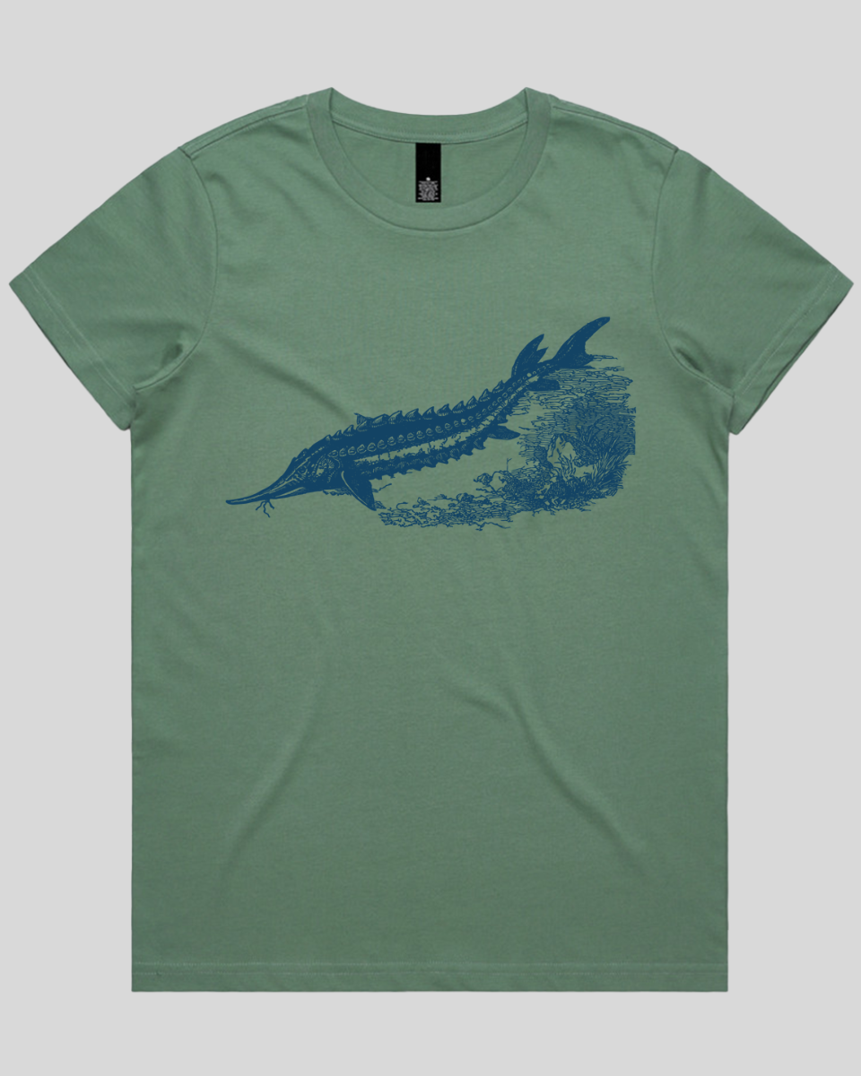 Ancient River Fish 2 Women's T-Shirt