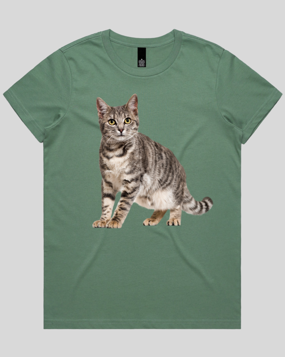 Friendly Cat Women's T-Shirt