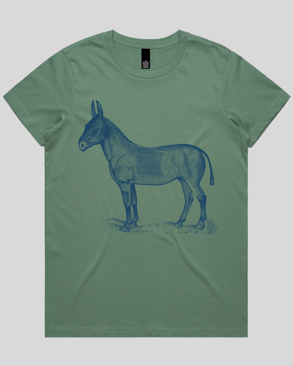 Donkey Drawing Women's T-Shirt